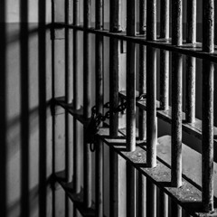 Trauma Freestyle-Wave Goonba