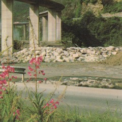 J-14 - TOUT VA BIEN SUR TERRE