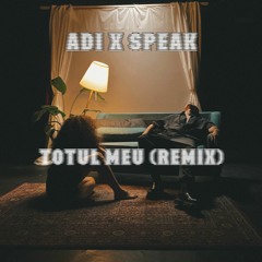 Adi x Speak - Totul Meu (Remix) Radio Version | Official Audio HQ