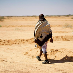 Food Systems are the Missing Link in Social Development