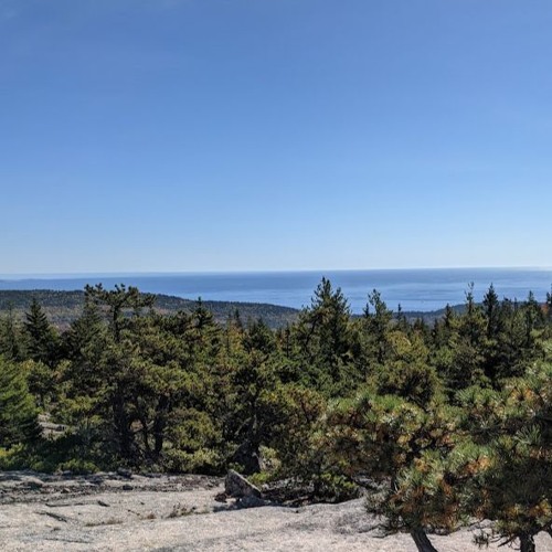 roots beneath stone - 012225