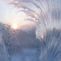 The secret light of Winter