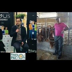 16 - Réforme de la PAC : « Dans les grands équilibres, à peu près rien ne change »