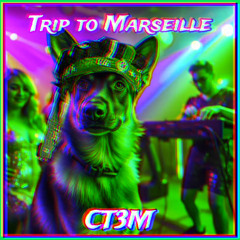 Trip to Marseille