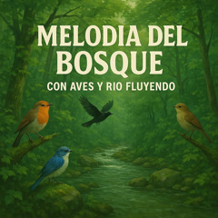Melodia del Bosque con Aves Cantando sin Parar