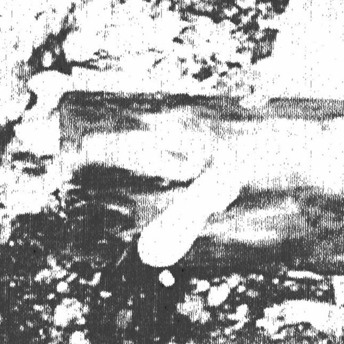acolyte- goblet//clip