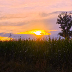 Never Obey - Moritz Michelson