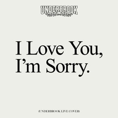 I Love You, I'm Sorry (Underbrook Live Cover)