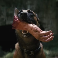 askyfullofstars - ill Love You Like a Dog