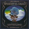 Playing in the Band (Live at Winterland, December 31, 1978)