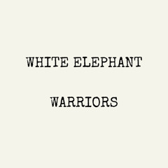 Warriors (Ron Basejam Remix)