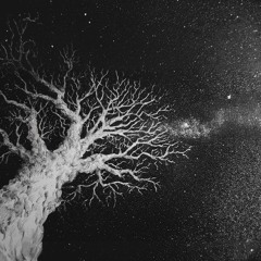 Betelgeize ‒ November Podcast, 2025