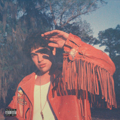 Druggie Music