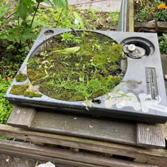 Хаски - Бит шатает голову (remix)