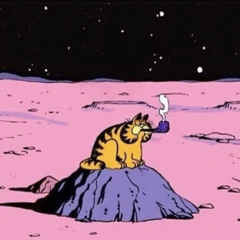 VIVISECTIONOFADREAM Reprise
