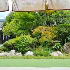 Mind Garden