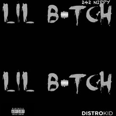Lil Bitch- 242 Nippy - 12:29:23, 6.59 PM