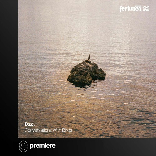 Premiere: Dzc. - Visual Mind - fortunea