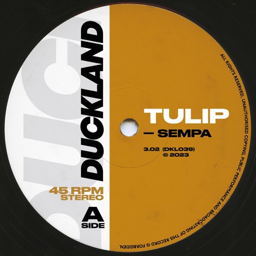 SEMPA - TULIP (Free Download)