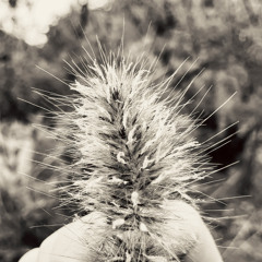 AZ Vibing - AZ Artists