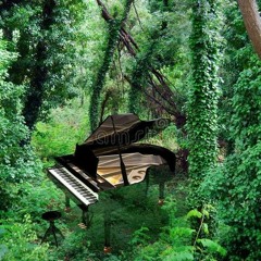 In The Evergreen