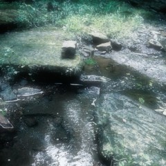 scary monsters (memoryloss)