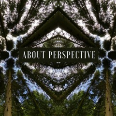 About Perspective