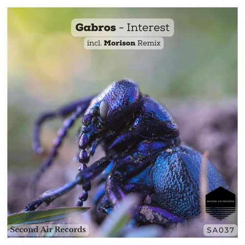 Interest (Morison Remix)