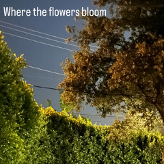 Where The Flowers Bloom