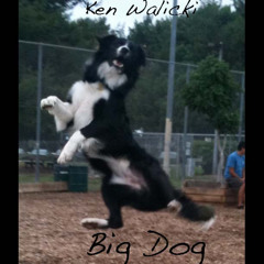 Big Dog
