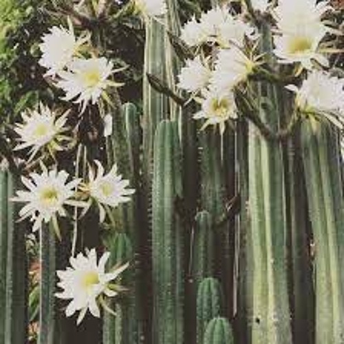 Vinyl/digital - #afterhours 003