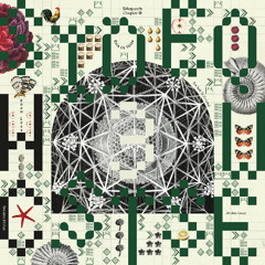 Session Victim - Rain Or Shine [Delusions Of Grandeur]