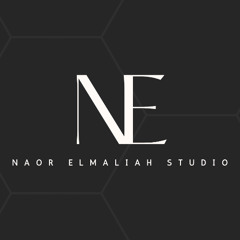 Naor Elmaliah Music Pack Preview