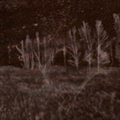 𝙡𝙪𝙡𝙡𝙖𝙗𝙞𝙚𝙨 𝙤𝙛 𝙩𝙤𝙢𝙗𝙨𝙩𝙤𝙣𝙚𝙨