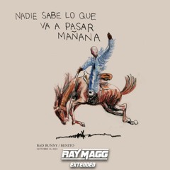 Bad Bunny, Mora - HIBIKI (Ray Magg Extended)