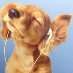 cooldab=+ gone faa uhh week been tore up 1117 beatby fwcal&badleyy