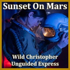 Sunset On Mars (with Unguided Expess)