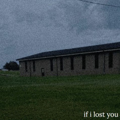if i lost you (michael harrison)