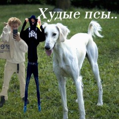 Худые псы начало