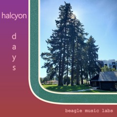 halcyon days