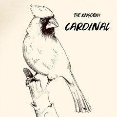 Cardinal 🐦