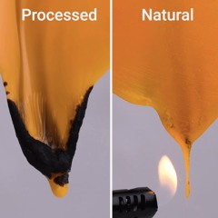 Someday We'll All Be Free