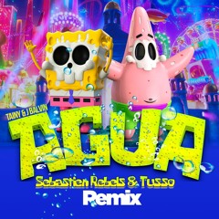 T.a.i.n.y X J B.a.l.v.i.n - Agua (Sebastien Rebels & Tusso Remix)