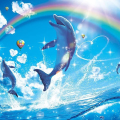 DELFINTHERAPIE Hi-Tech Set (195-217)