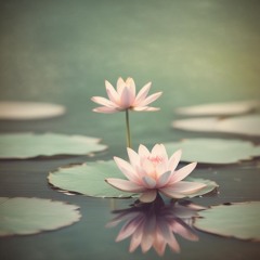 Buddha In Our Midst