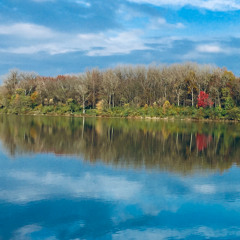 Minnesota