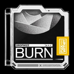 Dropwizz - Burn