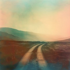 Parallel Paths