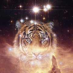 Do You Remember The Future?