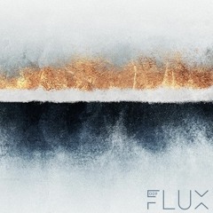 FLUX 009